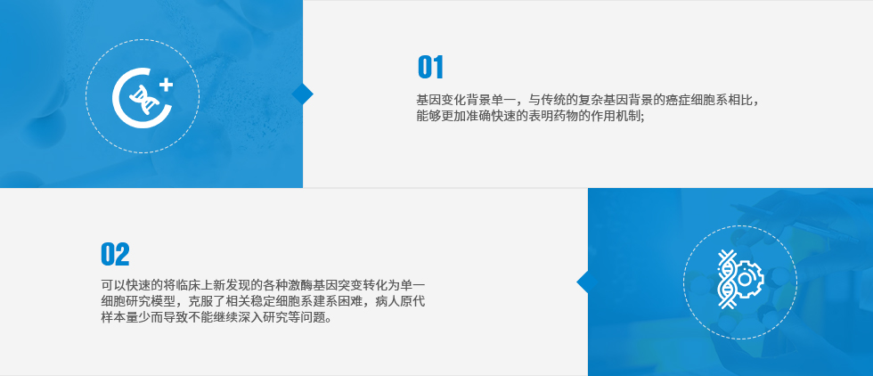 世界規(guī)模最大Ba/F3癌癥激酶靶點工程細胞庫