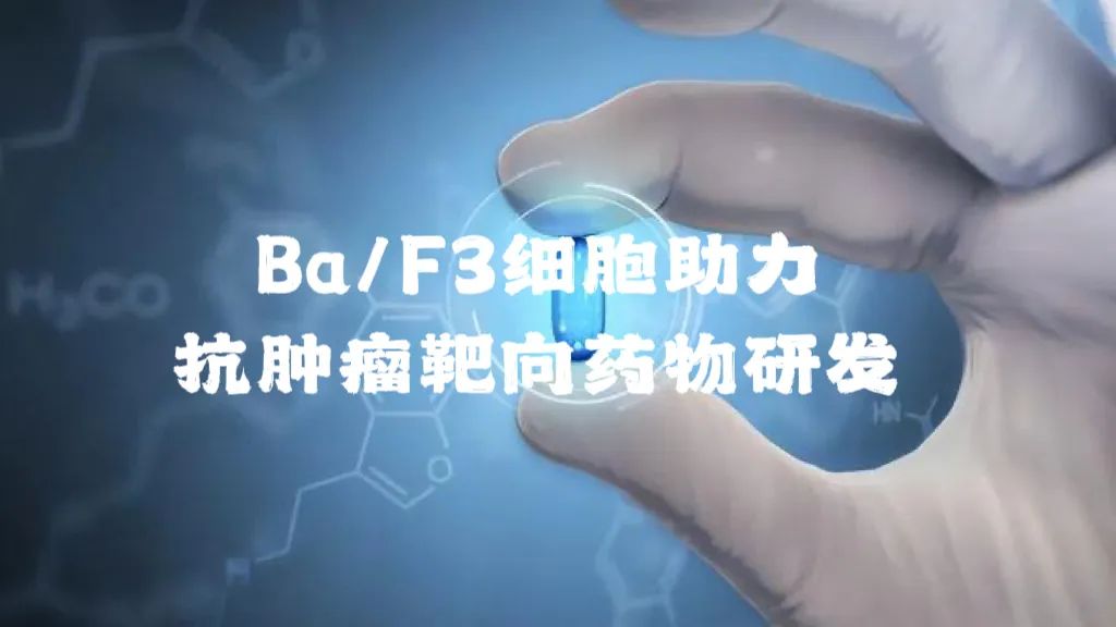 Ba/F3細胞助力抗腫瘤靶向藥物研發(fā)
